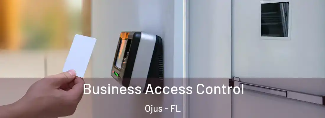 Business Access Control Ojus - FL