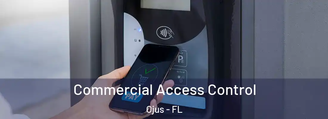  Commercial Access Control Ojus - FL