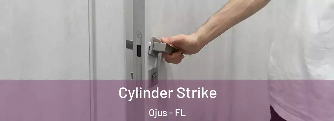  Cylinder Strike Ojus - FL