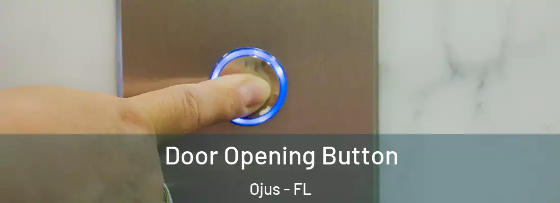 Door Opening Button Ojus - FL