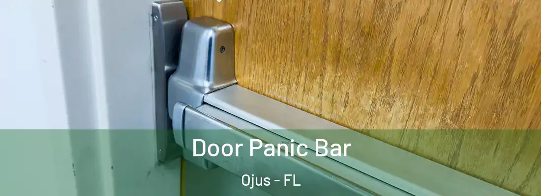  Door Panic Bar Ojus - FL