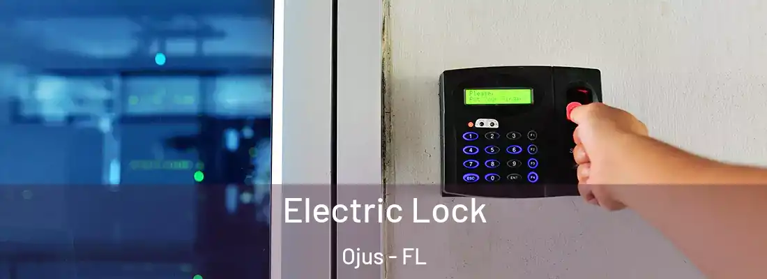  Electric Lock Ojus - FL