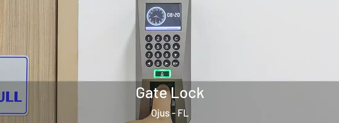 Gate Lock Ojus - FL