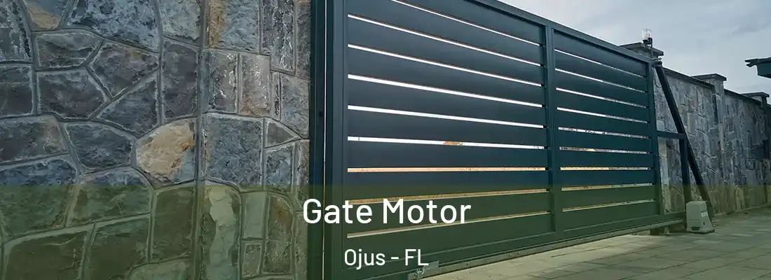  Gate Motor Ojus - FL