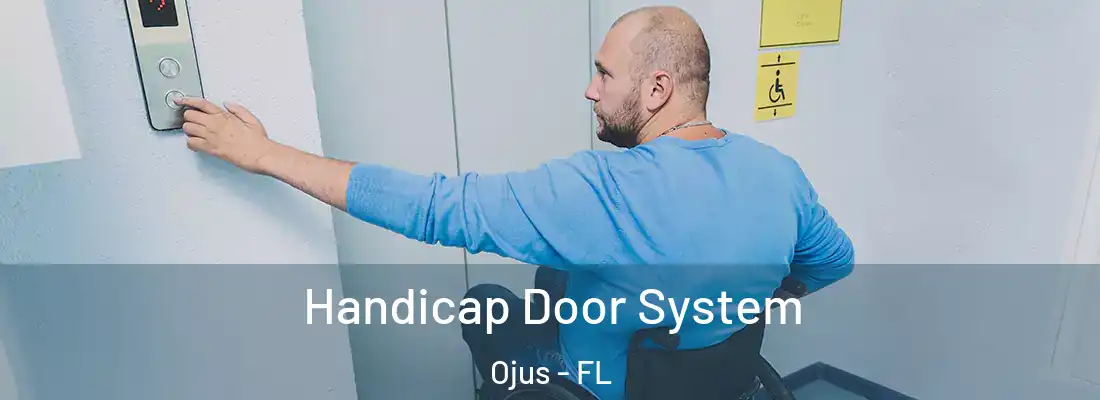  Handicap Door System Ojus - FL