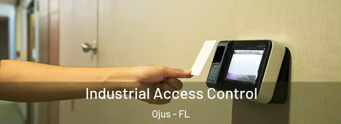  Industrial Access Control Ojus - FL