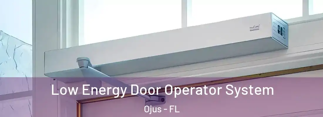 Low Energy Door Operator System Ojus - FL