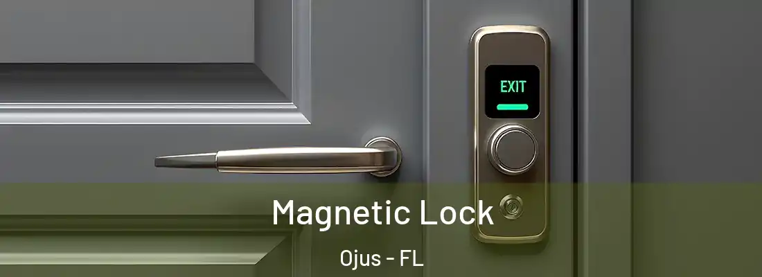  Magnetic Lock Ojus - FL