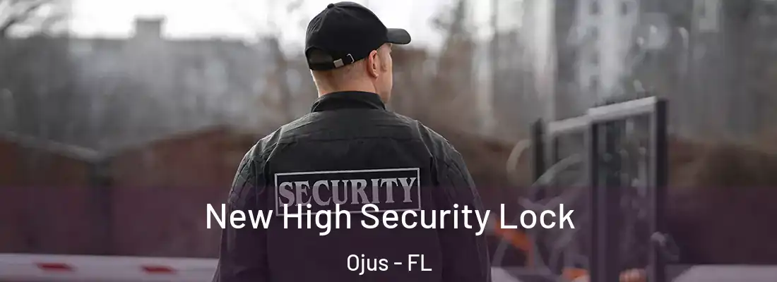 New High Security Lock Ojus - FL