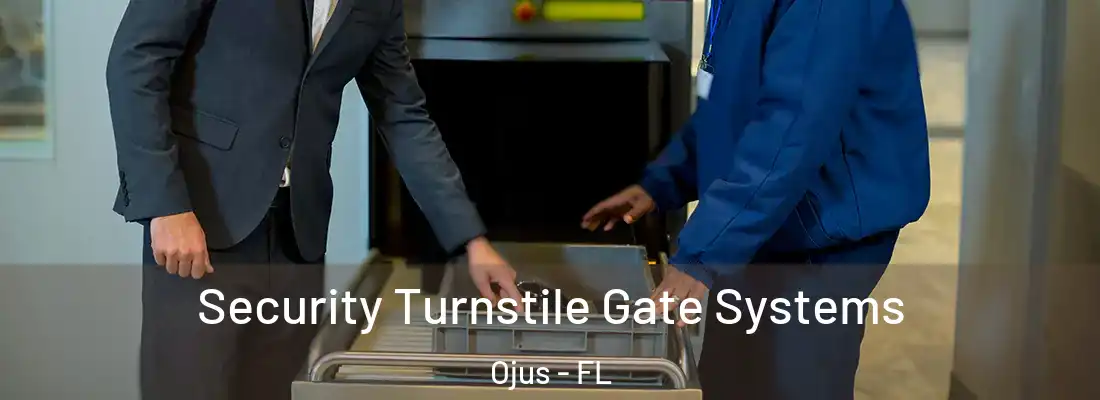  Security Turnstile Gate Systems Ojus - FL